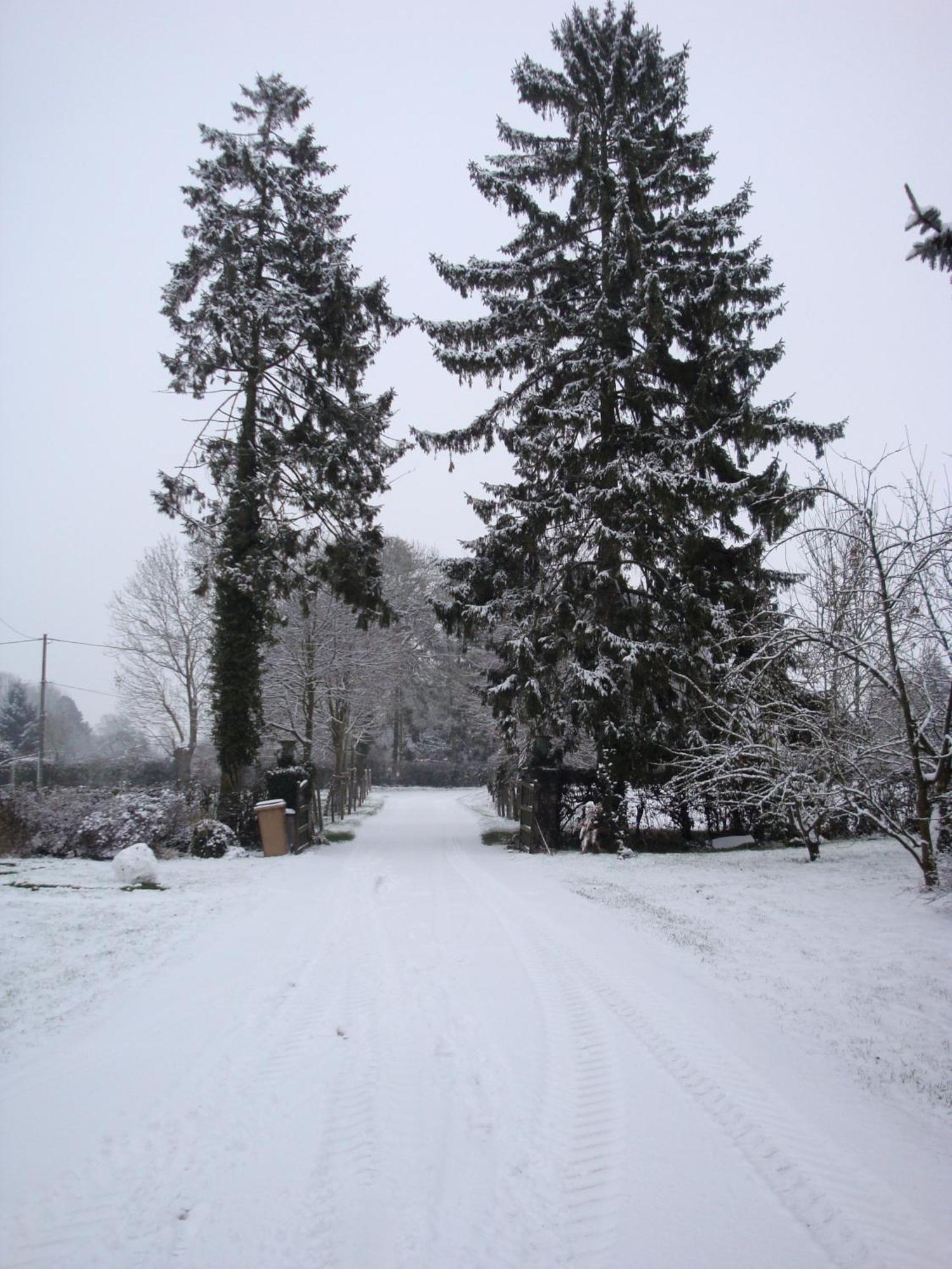Bed and Breakfast Ferme De La Cacheterie, Fleury-la-Foret Экстерьер фото
